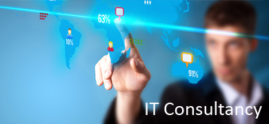 IT Consultancy